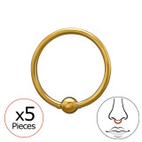 0.8X8Mm (20G) Captive Bead Nose Ring Gold Color With 2mm Ball (X5) - 316 Surgical Steel Steel SD50571