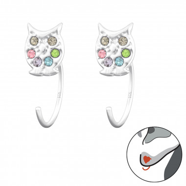 Owl - 925 Sterling Silver Kids Earrings SD43466