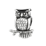 Owl - 925 Sterling Silver Simple Beads SD5734