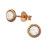 Round - 925 Sterling Silver Semi-Precious Stud Earrings SD35847