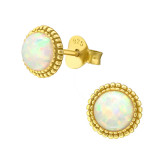 Round - 925 Sterling Silver Semi-Precious Stud Earrings SD42113