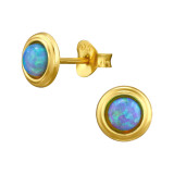 Round - 925 Sterling Silver Semi-Precious Stud Earrings SD46653