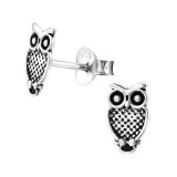 Owl - 925 Sterling Silver Simple Stud Earrings SD26236