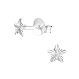 Star - 925 Sterling Silver Simple Stud Earrings SD27287