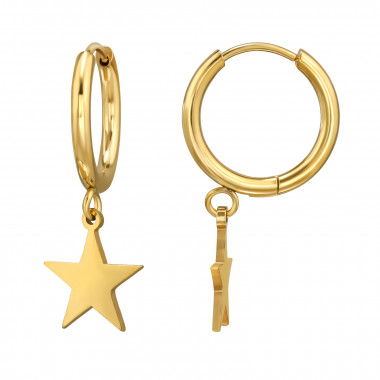 12mm Star - 316L Surgical Grade Stainless Steel Stainless Steel Earrings SD50143