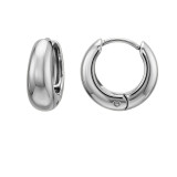 13.5Mm Chunky - 316L Surgical Grade Stainless Steel Stainless Steel Earrings SD51288