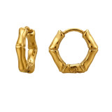 Bamboo - 316L Surgical Grade Stainless Steel Stainless Steel Earrings SD51291