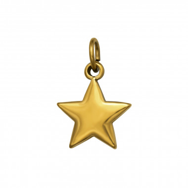 3D Star - 316L Surgical Grade Stainless Steel Steel Pendants SD50488