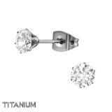 5mm Round - Titanium Titanium Ear Studs SD33179
