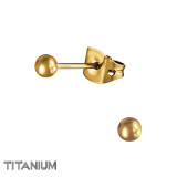 3mm Ball - Titanium Titanium Ear Studs SD48125