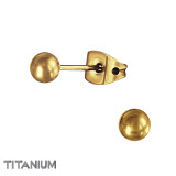 4mm Ball - Titanium Titanium Ear Studs SD48126