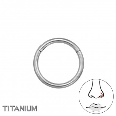 8mm (18G) Hinged Segment Clicker - Titanium Titanium Nose Jewelry SD47784