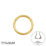 8mm (18G) Hinged Segment Clicker - Titanium Titanium Nose Jewelry SD47785