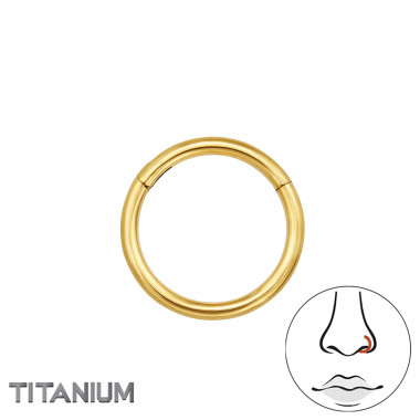 8mm (18G) Hinged Segment Clicker - Titanium Titanium Nose Jewelry SD47785