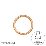 8mm (18G) Hinged Segment Clicker - Titanium Titanium Nose Jewelry SD47786