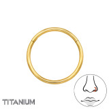 Hoop 12mm - Titanium Titanium Nose Jewelry SD47794