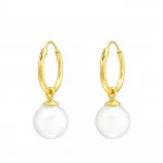 Round - 925 Sterling Silver Hoop Earrings SD43432