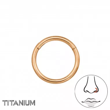 8mm (18G) Hinged Segment Clicker - Titanium Titanium Nose Jewelry SD47786